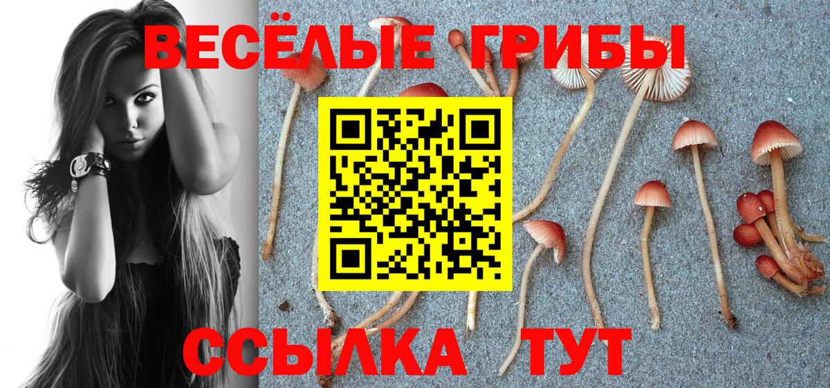 Зеленокумск  Галлюциногенные грибы прущие грибы  Вход с VPN 