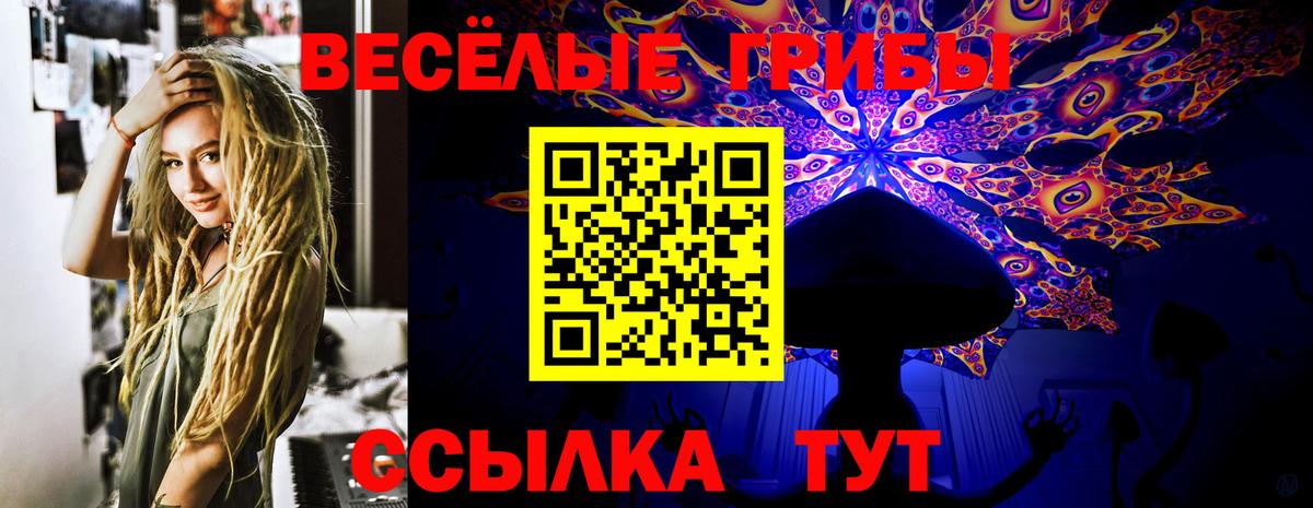 Галлюциногенные грибы Cubensis Зеленокумск
